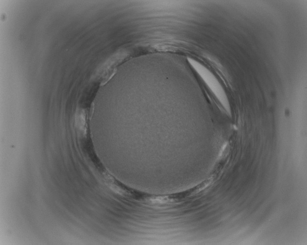 X0000084050121200703022225