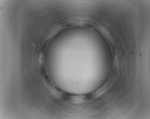 X0000084050122200703022225