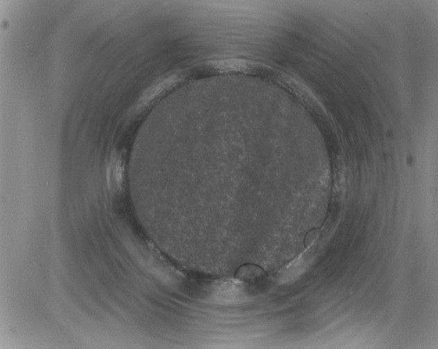 X0000084050124200703022225