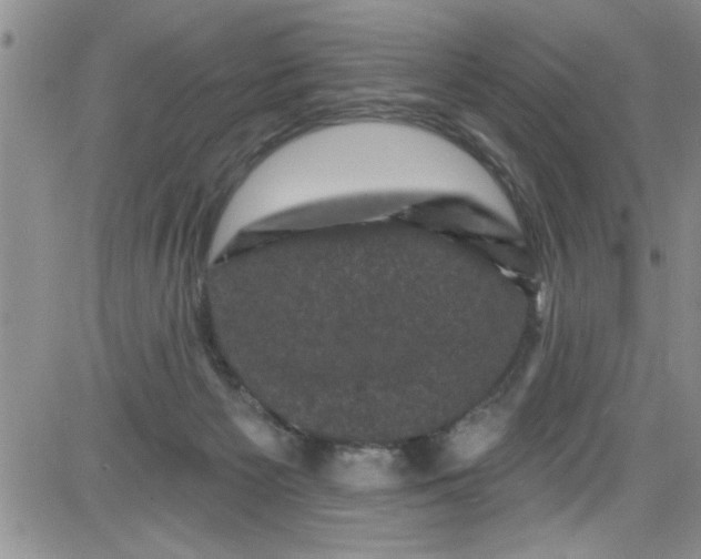 X0000084050125200703022225