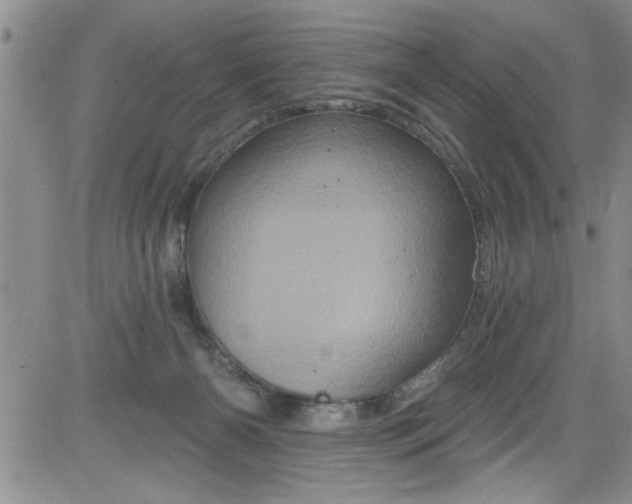 X0000084050126200703022224