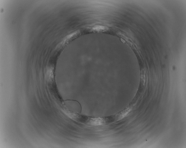 X0000084050127200703022224