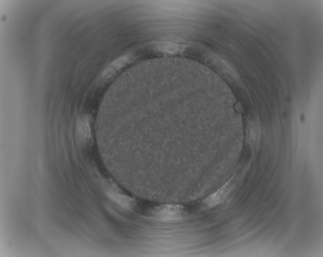 X0000084050128200703022224