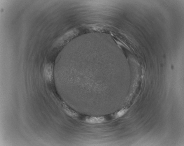 X0000084050129200703022224