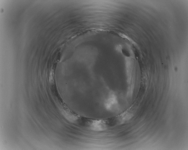 X0000084050130200703022224