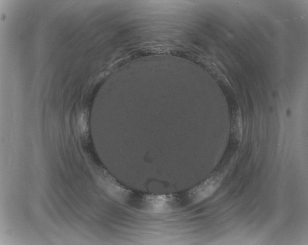 X0000084050131200703022224