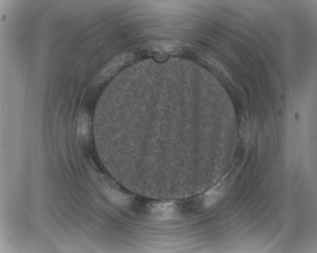 X0000084050132200703022224