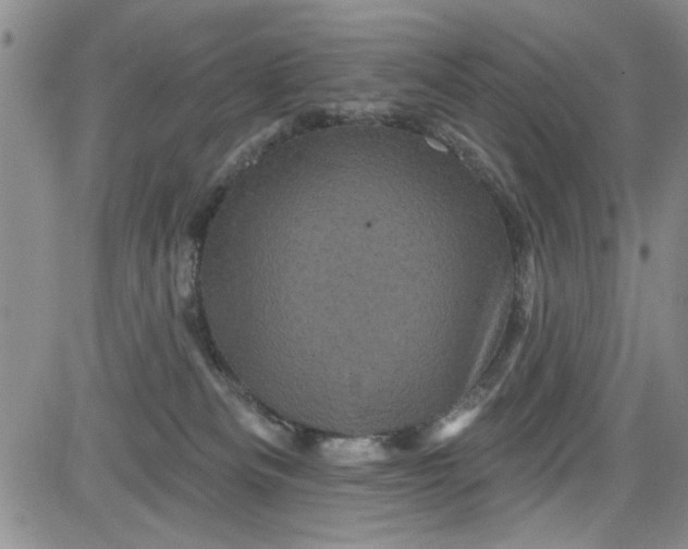 X0000084050133200703022224