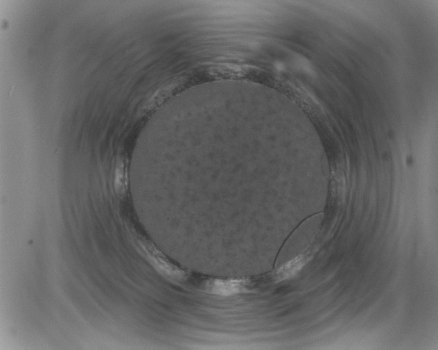 X0000084050134200703022224