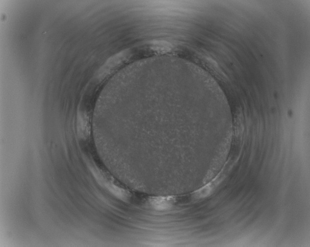 X0000084050136200703022224