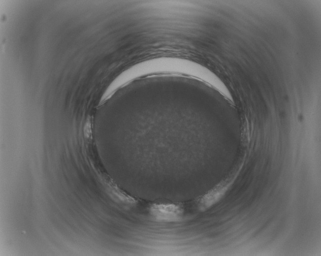 X0000084050137200703022224