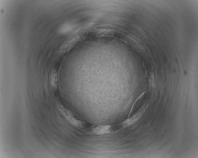 X0000084050138200703022224