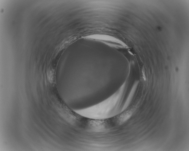 X0000084050139200703022224