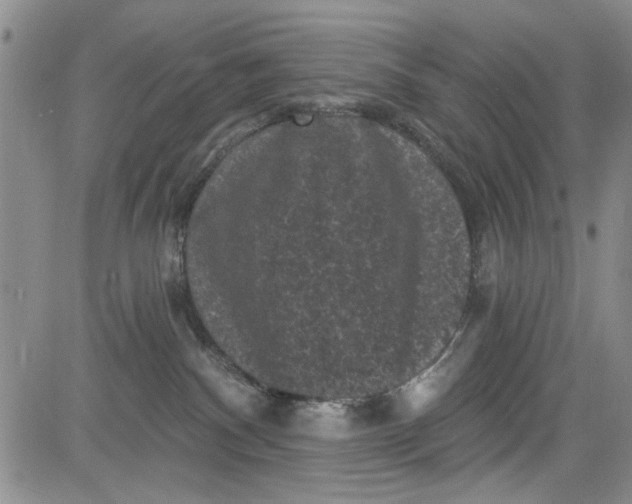 X0000084050140200703022224