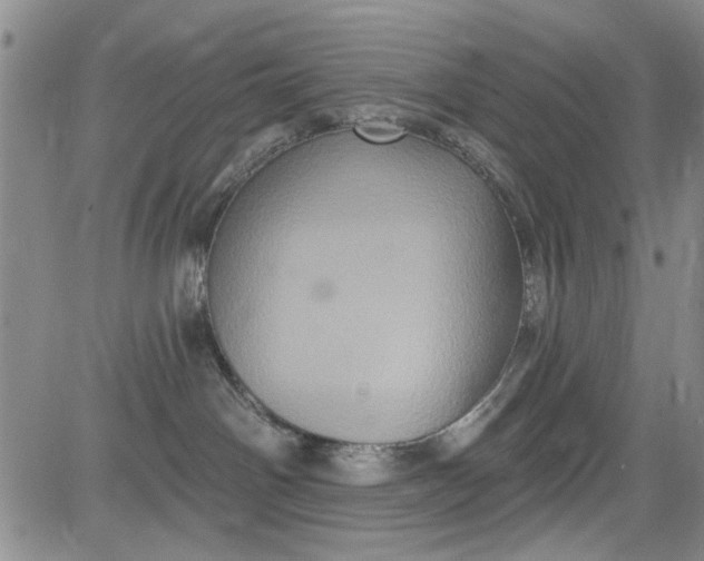 X0000084050142200703022224