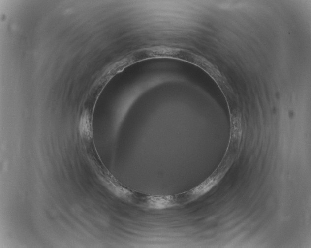 X0000084050143200703022224