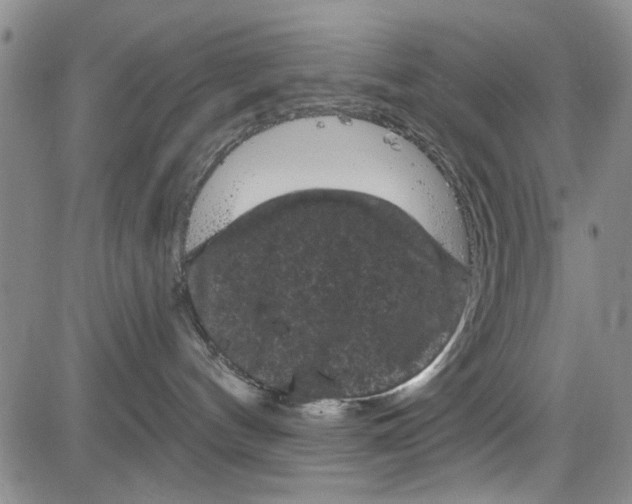 X0000084050144200703022224