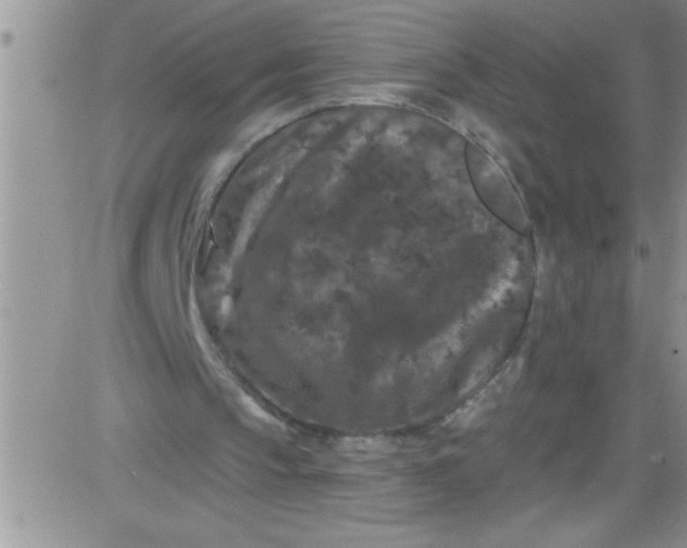 X0000084050145200703022223