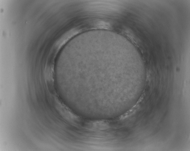 X0000084050146200703022223