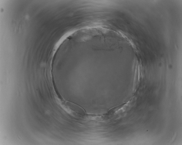 X0000084050147200703022223