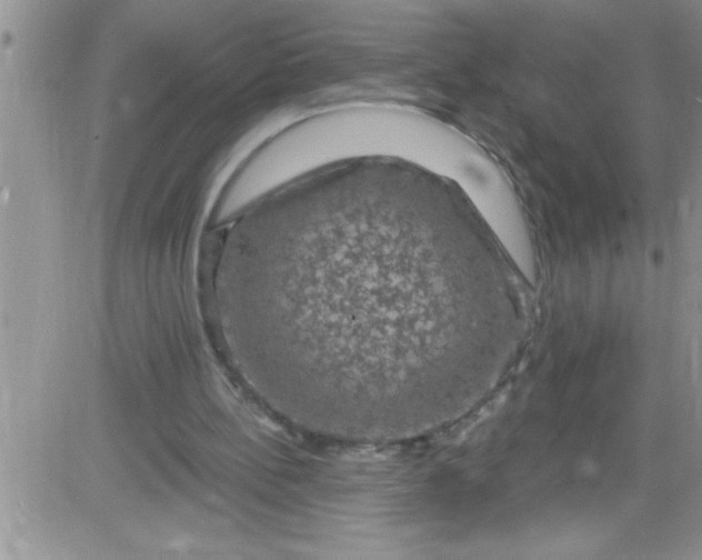 X0000084050148200703022223