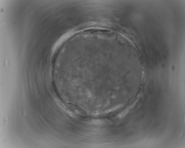 X0000084050149200703022223