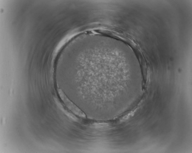 X0000084050150200703022223