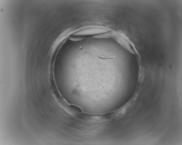 X0000084050151200703022223