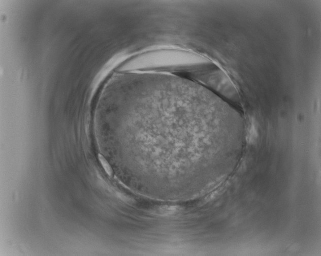 X0000084050152200703022224