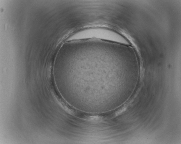 X0000084050153200703022224