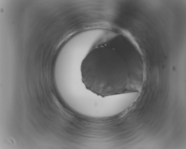 X0000084050154200703022224