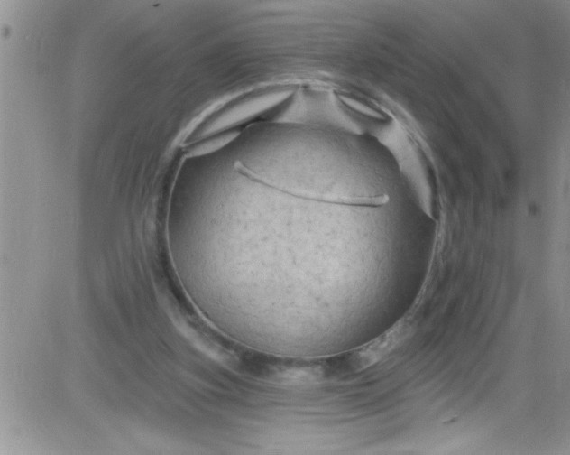 X0000084050155200703022224