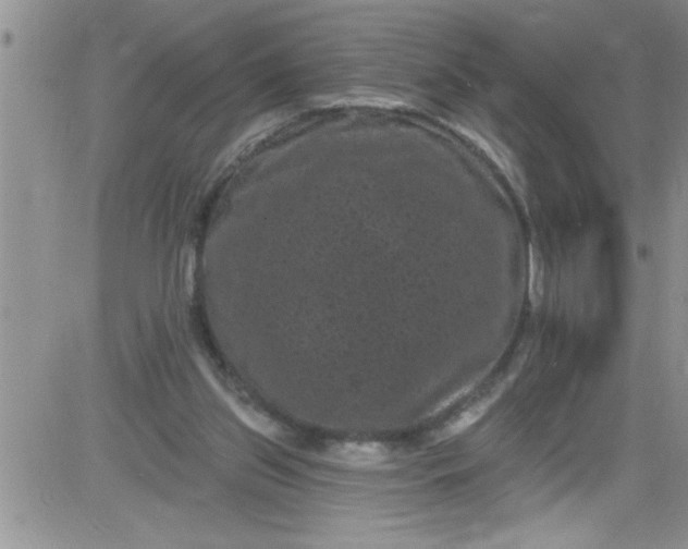 X0000084050157200703022224