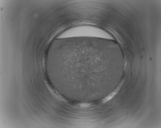 X0000084050158200703022224