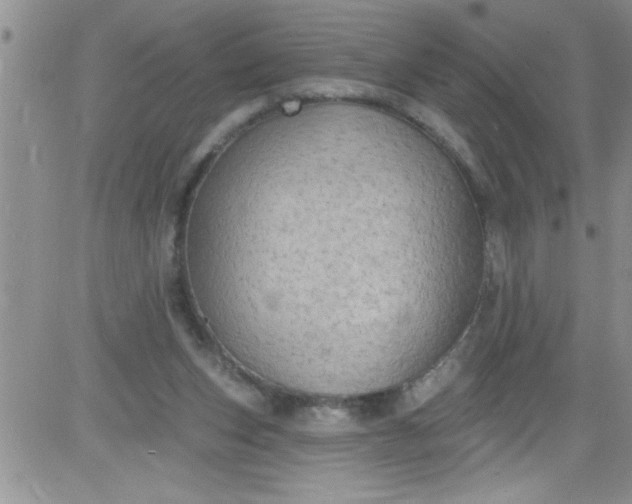 X0000084050159200703022224