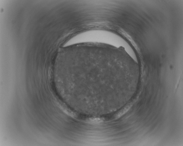 X0000084050161200703022224