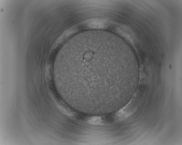 X0000084050162200703022224