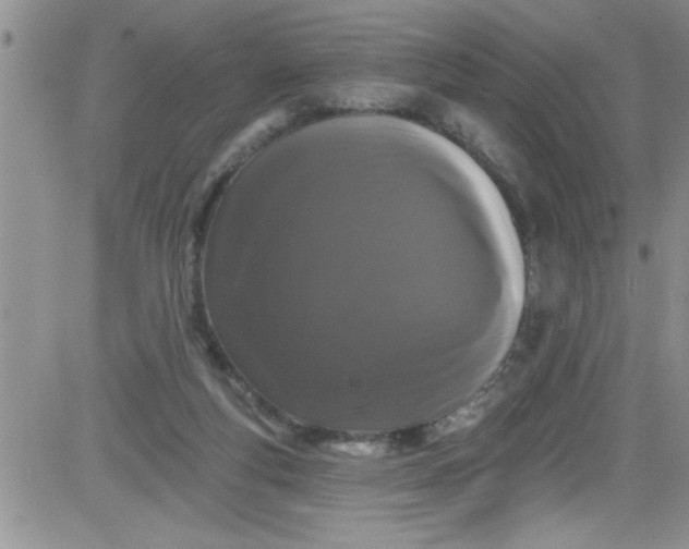 X0000084050163200703022224