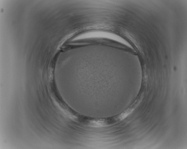 X0000084050164200703022224