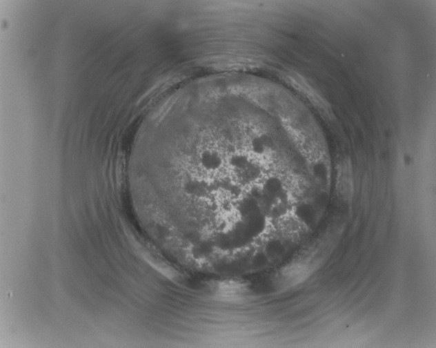 X0000084050165200703022224