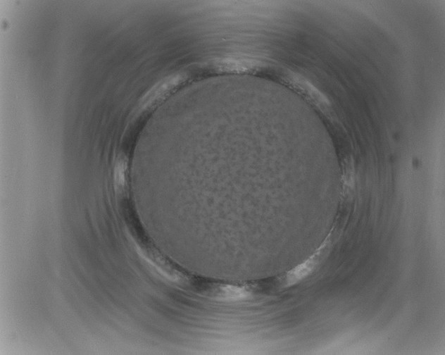 X0000084050166200703022224