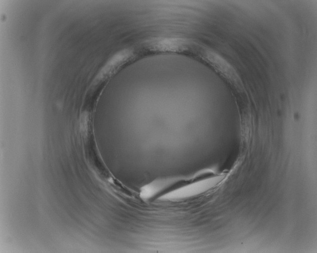 X0000084050167200703022224