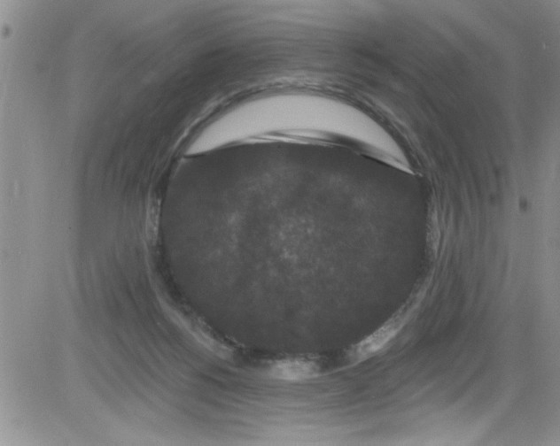 X0000084050168200703022224