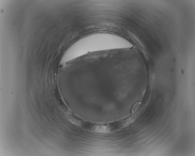 X0000084050169200703022224