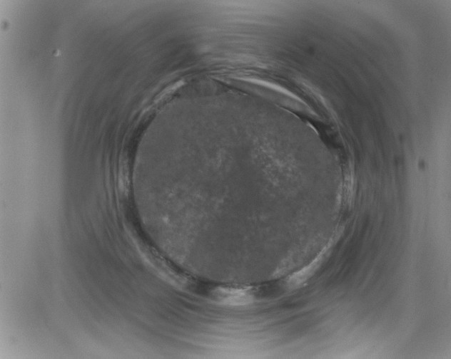 X0000084050170200703022224