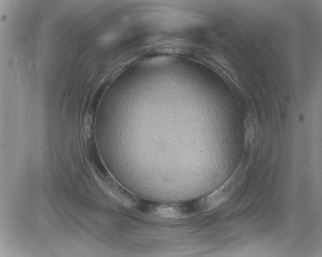 X0000084050171200703022224