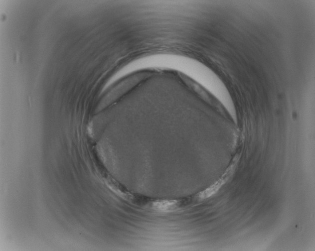 X0000084050172200703022224