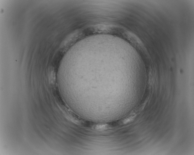 X0000084050173200703022224