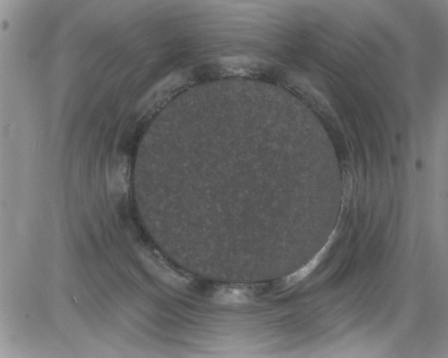 X0000084050174200703022224