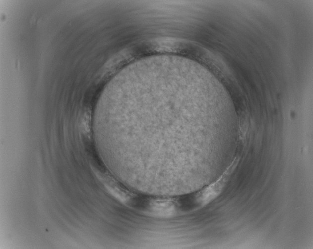 X0000084050175200703022224